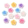 Opaque Resin Pendants RESI-B035-01-1