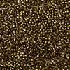 TOHO 11/0 Round Beads X-SEED-TR11-0389-2