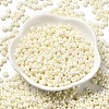 Baking Paint Luster Glass Seed Beads X-SEED-B001-04A-11-2