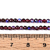 AB Color Plated Natural Garnet Beads Strands G-T144-A07-01-4