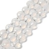 Natural White Agate Beads Strands G-B153-A02-2