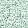 Baking Paint Pearlized Glass Seed Beads SEED-T008-03P-3