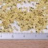 MIYUKI Delica Beads SEED-MY11-DB0042-4