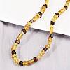 Natural Amber Beaded Necklaces NJEW-L466-01-2