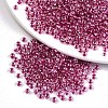 8/0 Glass Seed Beads SEED-A015-3mm-2209-1