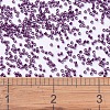 MIYUKI Delica Beads SEED-X0054-DB0463-4