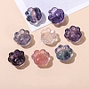 Natural Fluorite Carved Beads PW-WG1ACAE-10-1