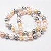 Shell Pearl Bead Strands BSHE-L017-17-4