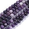 Natural Lepidolite/Purple Mica Stone Beads Strands G-K415-8mm-2