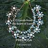 Preciosa® MAXIMA Crystal Round Stones X-PRC-RBSS29-60000-5