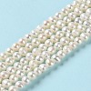 Natural Cultured Freshwater Pearl Beads Strands PEAR-E018-55-2