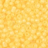 6/0 Luminous Glass Seed Beads X1-SEED-NH0001-01L-4