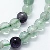 Natural Fluorite Beads Strands X-G-I199-12-6mm-3