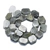 Natural Labradorite Beads Strands G-K245-J21-01-2