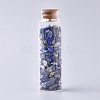 Glass Wishing Bottle LS-DJEW-L013-A17-1
