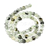 Natural Prehnite Beads Strands G-P575-C19-6mm-3