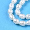 Natural Cultured Freshwater Pearl Beads Strands PEAR-N012-03N-4