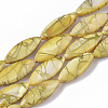 Drawbench Freshwater Shell Beads Strands SHEL-T014-008B-05-1