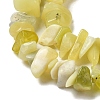 Natural Lemon Jade Chip Bead Strands X-G-M205-22-3