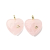 Natural Rose Quartz Pendants G-P588-01G-10-1
