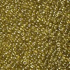6/0 Glass Seed Beads SEED-US0003-4mm-110-2