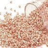 Cylinder Seed Beads SEED-H001-H02-2