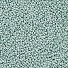 12/0 FGB Grade A Round Glass Seed Beads SEED-N001-A-1031-2