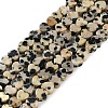 Natural Dalmatian Jasper Beads Strands G-M403-A31-01-1