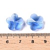 Transparent Glass Beads GLAA-Q066-14mm-C08-3