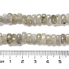 Natural Labradorite Beads Strands G-Q167-B19-01-5