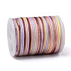 Segment Dyed Polyester Thread NWIR-I013-C-12-2