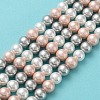 Shell Pearl Bead Strands BSHE-L017-20-2