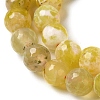 Dyed & Heated Natural Fire Crackle Agate Beads Strands G-P539-B01-06-4