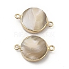 Natural Trochid Shell Connector Charms PEAR-P004-54KCG-2