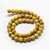 Natural Imperial Jasper Beads Strands G-I122-10mm-03-3