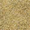 MIYUKI Delica Beads SEED-J020-DB0042-3