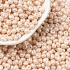 6/0 Glass Seed Beads SEED-L011-08A-24-1