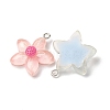 Transparent Resin Pendants RESI-Z043-04P-2