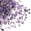 Natural Amethyst Chip Beads X-G-L453-06-4