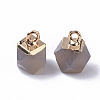 Natural Grey Agate Charms X-G-S359-015D-3