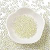 Glass Seed Beads SEED-H002-A-A627-2