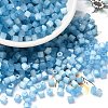 Glass Seed Beads X1-SEED-H002-D-A811-1