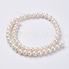 Natural Cultured Freshwater Pearl Beads Strands PEAR-D187-15-2