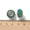 AB Color Resin Rose Flower European Beads RESI-M001-05H-3