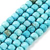 Dyed Natural Turquoise Beads Strands G-H028-A04-01-1