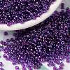 MIYUKI Round Rocailles Beads X-SEED-G008-RR0352-1