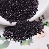 MIYUKI Delica Beads SEED-MY11-DB0004-1