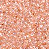TOHO 11/0 Round Beads X-SEED-TR11-0169-2