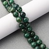 Natural Fuchsite Beads Strands G-K393-A02-8mm-1