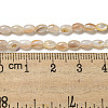 Natural Freshwater Shell Beads Strands SHEL-H072-03-4